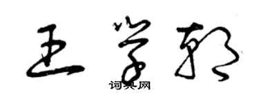 曾慶福王學朝草書個性簽名怎么寫