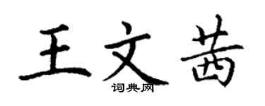 丁謙王文茜楷書個性簽名怎么寫