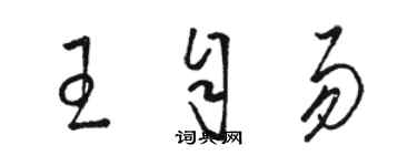 駱恆光王自易草書個性簽名怎么寫