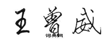 駱恆光王曾威行書個性簽名怎么寫