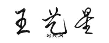 駱恆光王藝星行書個性簽名怎么寫