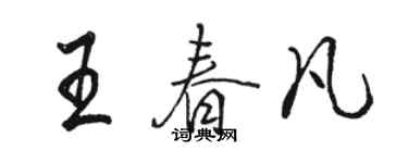 駱恆光王春凡行書個性簽名怎么寫
