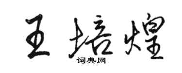 駱恆光王培煌行書個性簽名怎么寫