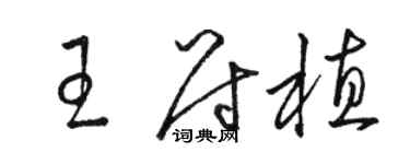 駱恆光王尉植草書個性簽名怎么寫