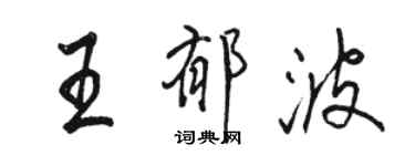 駱恆光王郁波行書個性簽名怎么寫