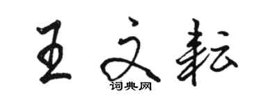 駱恆光王文耘行書個性簽名怎么寫