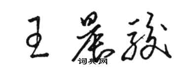 駱恆光王晨駿草書個性簽名怎么寫