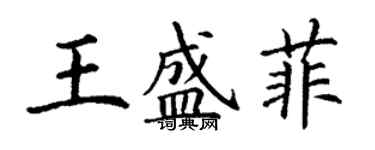 丁謙王盛菲楷書個性簽名怎么寫
