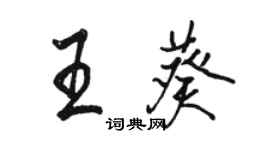 駱恆光王葵行書個性簽名怎么寫