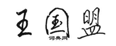 駱恆光王國盟行書個性簽名怎么寫