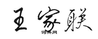 駱恆光王家聯行書個性簽名怎么寫