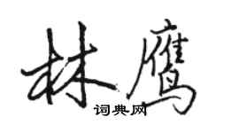 駱恆光林鷹行書個性簽名怎么寫