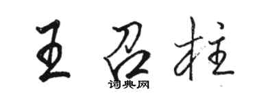 駱恆光王召柱行書個性簽名怎么寫