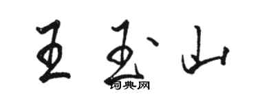 駱恆光王玉山行書個性簽名怎么寫