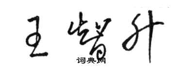 駱恆光王智升草書個性簽名怎么寫