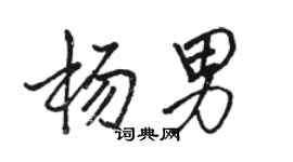 駱恆光楊男行書個性簽名怎么寫