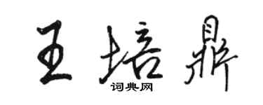 駱恆光王培鼎行書個性簽名怎么寫