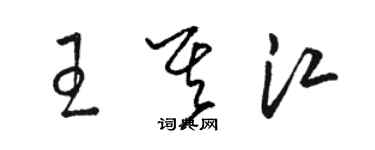 駱恆光王其江草書個性簽名怎么寫