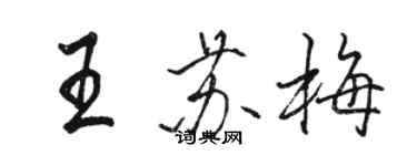 駱恆光王蘇梅行書個性簽名怎么寫