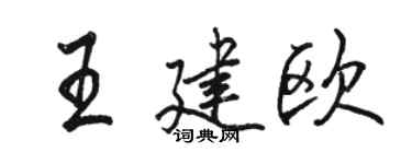 駱恆光王建歐行書個性簽名怎么寫