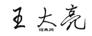 駱恆光王大亮行書個性簽名怎么寫