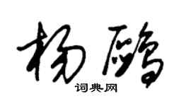 朱錫榮楊鷗草書個性簽名怎么寫