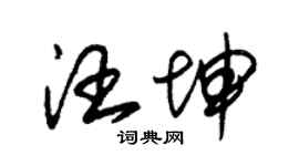 朱錫榮汪坤草書個性簽名怎么寫