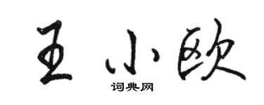 駱恆光王小歐行書個性簽名怎么寫