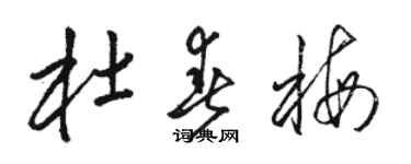 駱恆光杜春梅草書個性簽名怎么寫