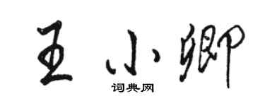 駱恆光王小卿行書個性簽名怎么寫