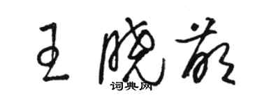 駱恆光王曉萌草書個性簽名怎么寫