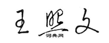 駱恆光王照文草書個性簽名怎么寫