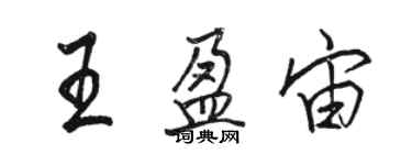 駱恆光王盈宙行書個性簽名怎么寫