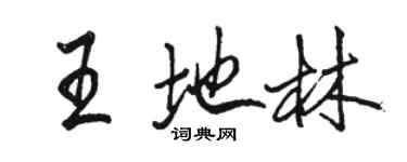 駱恆光王地林行書個性簽名怎么寫