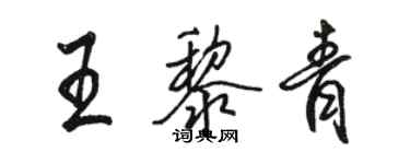 駱恆光王黎青行書個性簽名怎么寫