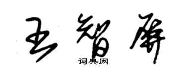 朱錫榮王智屏草書個性簽名怎么寫