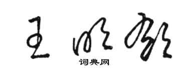 駱恆光王明郁草書個性簽名怎么寫