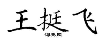丁謙王挺飛楷書個性簽名怎么寫