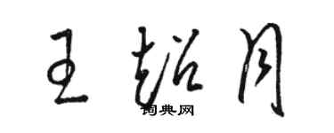 駱恆光王超月草書個性簽名怎么寫