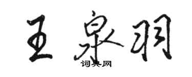 駱恆光王泉羽行書個性簽名怎么寫