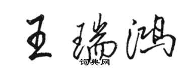 駱恆光王瑞鴻行書個性簽名怎么寫