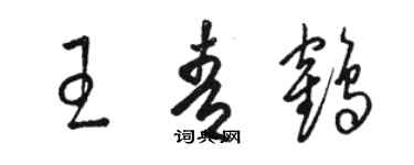 駱恆光王青鶴草書個性簽名怎么寫