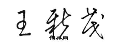 駱恆光王新茂草書個性簽名怎么寫