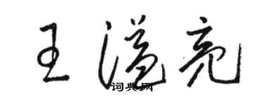 駱恆光王溢亮草書個性簽名怎么寫