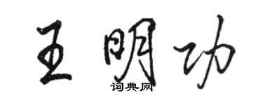 駱恆光王明功行書個性簽名怎么寫