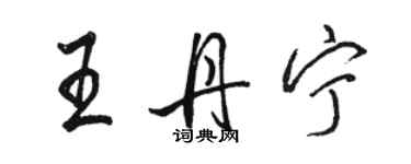 駱恆光王丹寧行書個性簽名怎么寫