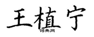 丁謙王植寧楷書個性簽名怎么寫