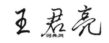 駱恆光王君亮行書個性簽名怎么寫