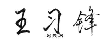 駱恆光王習鋒行書個性簽名怎么寫