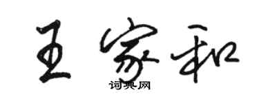 駱恆光王家和行書個性簽名怎么寫